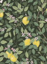 BoråsTapeter Wallpaper Citronträd - 5701