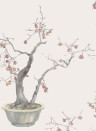 Cole & Son Carta da parati Kaki Persimmon - Silver