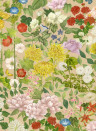 Cole & Son Wallpaper Flora Province - Taupe