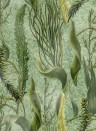 Mindthegap Wallpaper Aquatic Plants - WP20717