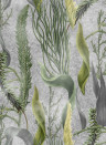 Mindthegap Wallpaper Aquatic Plants - WP20718