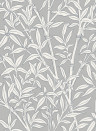 Cole & Son Wallpaper Bamboo Forest - Morning Frost