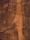 CMO Paris Wallpaper Gesso Peigné - Cuivre