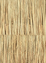CMO Paris Wallpaper Raphia Frange - Blond