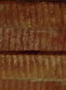 CMO Paris Papier peint Hurricane - Bronze