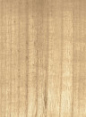 CMO Paris Wallpaper Bois - Blond