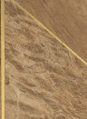 CMO Paris Wallpaper Murier Chevron
