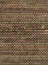 CMO Paris Wallpaper Papyrus - Tabac