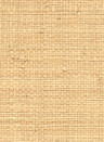 CMO Paris Papier peint Raphia Sauvage - Miel