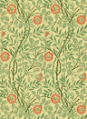 Morris & Co Wallpaper Sweet Briar - Green/ Rust