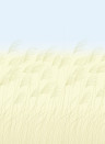 Harlequin Mural Miscanthus - Buttermilk/ Sky