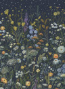 House of Hackney Wallpaper Prataria - Galaxias
