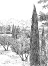 Isidore Leroy Papier peint panoramique Provence - Grisaille Panel F