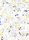 Coordonne Wallpaper Salines - Indigo