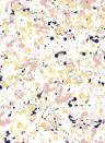 Coordonne Wallpaper Salines - Pink