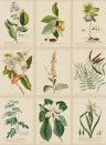 Sandberg Carta da parati panoramica Flora - Green