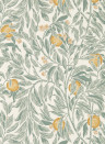 Sanderson Carta da parati Ancient Apple Orchard - Golden Knot & Sage
