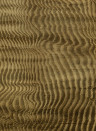 Coordonné Wandbild Harenae - Gold