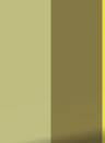 KEK Amsterdam Tapete Bold Stripes 1 Uyterlinde - FU-007