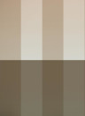 KEK Amsterdam Tapete Gradient Stripes 1 Uyterlinde - FU-021