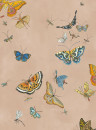 Josephine Munsey Tapete Butterflies - Plaster Pink