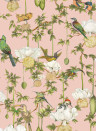 Cole & Son Wallpaper Baobab Botanica - Blush