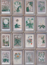 Andrew Martin Papier peint Floral - Curafl