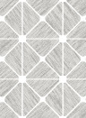Coordonne Papier peint Raffias+6 - 9800045