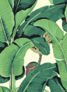 Jannelli & Volpi Wallpaper Hinson Palm - 26010