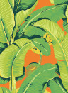 Jannelli & Volpi Wallpaper Hinson Palm - 26012