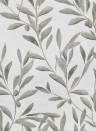 Coordonne Carta da parati Olivetum - Matcha
