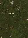 Osborne & Little Wallpaper Kanoko Cork - Olive