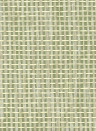 Osborne & Little Wallpaper Papyrus - Olive