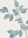 Lewis & Wood Carta da parati Beech - Bluegrass