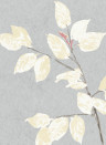 Lewis & Wood Carta da parati Beech - Dove