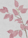 Lewis & Wood Carta da parati Beech - Rose