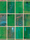 NLXL Tapete Waste Tiles - Green