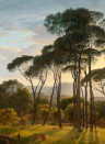 NLXL Carta da parati panoramica Umbrella Pines - 08 Drops