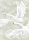 Boråstapeter Studio Wandbild Clouds Swans - 9414W
