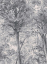 Boråstapeter Studio Mural Sketch of Trees - 9630W