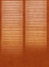 Coordonné Wandbild Hoshi - Amber