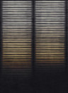 Coordonné Wandbild Hoshi - Ash