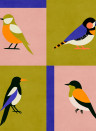 Coordonné Papier peint Like a Bird - Cobalt