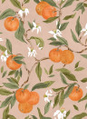 Coordonné Papier peint Naranjos - Rosado