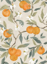 Coordonné Papier peint Naranjos - Piedra