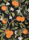 Coordonné Papier peint Naranjos - Pizarra