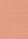 Élitis Wallpaper Sisal - RM 1069 57