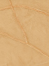 Élitis Tapete Kintsugi - VP 1004 12