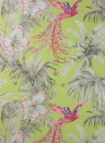 Matthew Williamson Wallpaper Bird of Paradise Lemon/ Coral/ Taupe