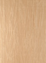 Arte Wallpaper Pyxis - Ginseng